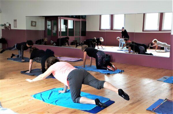 mlf-gym